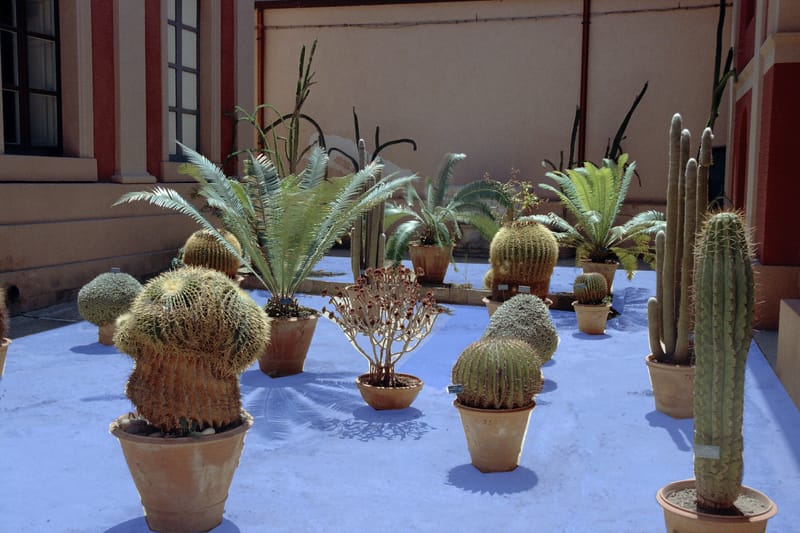 Rafi Music Theatre Company - Nova Melancholia - Michalis Siganidis 'Il diluvio universale' by Michelangelo Falvetti