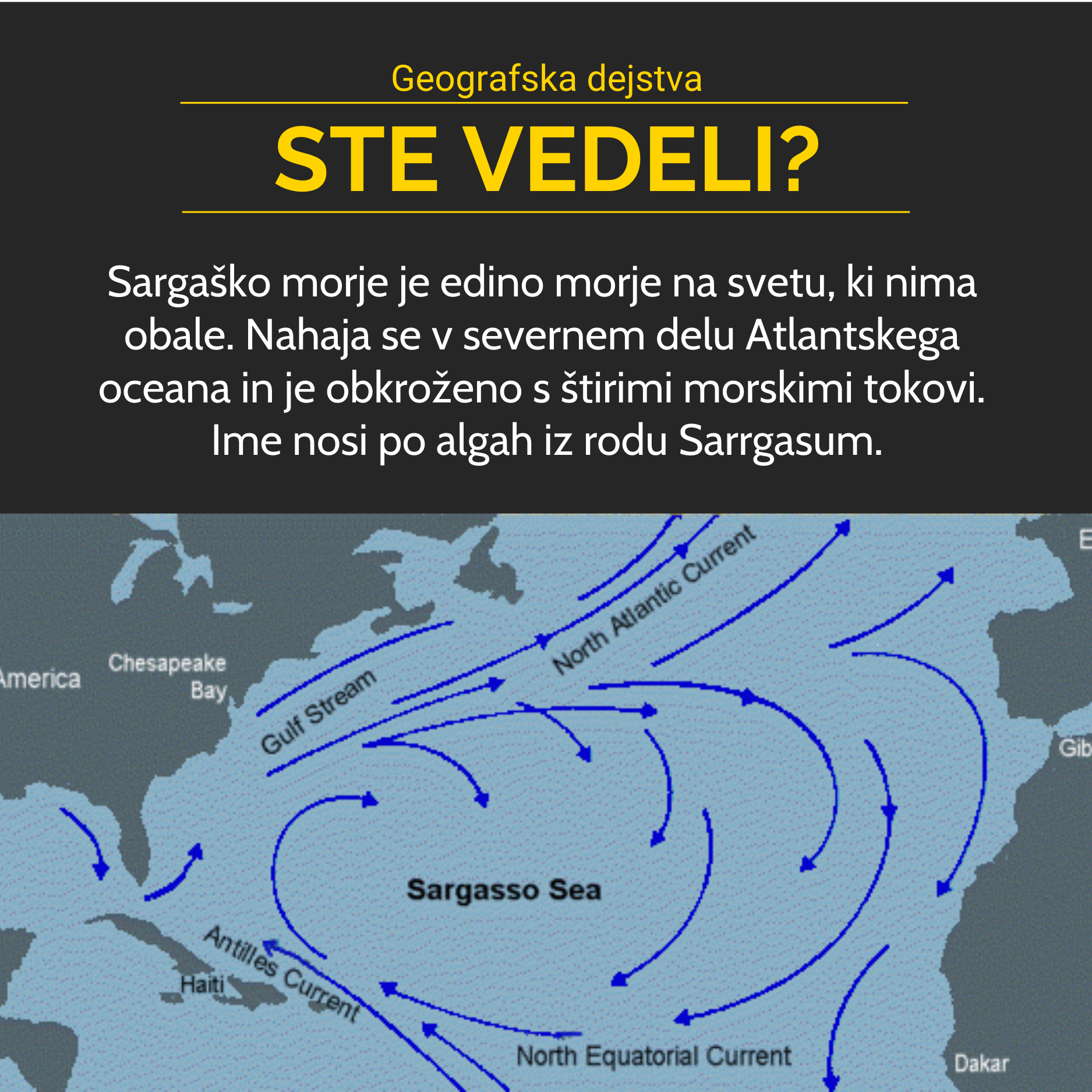 Sargaško morje
