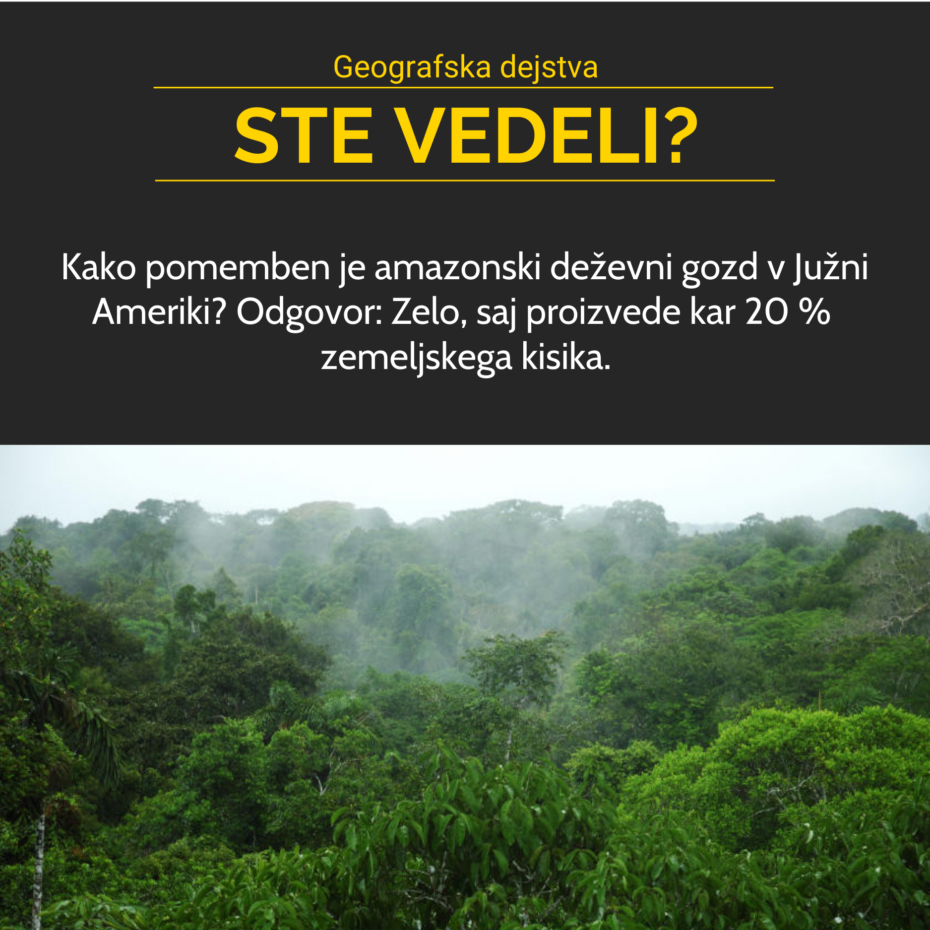 Amazonski deževni gozd
