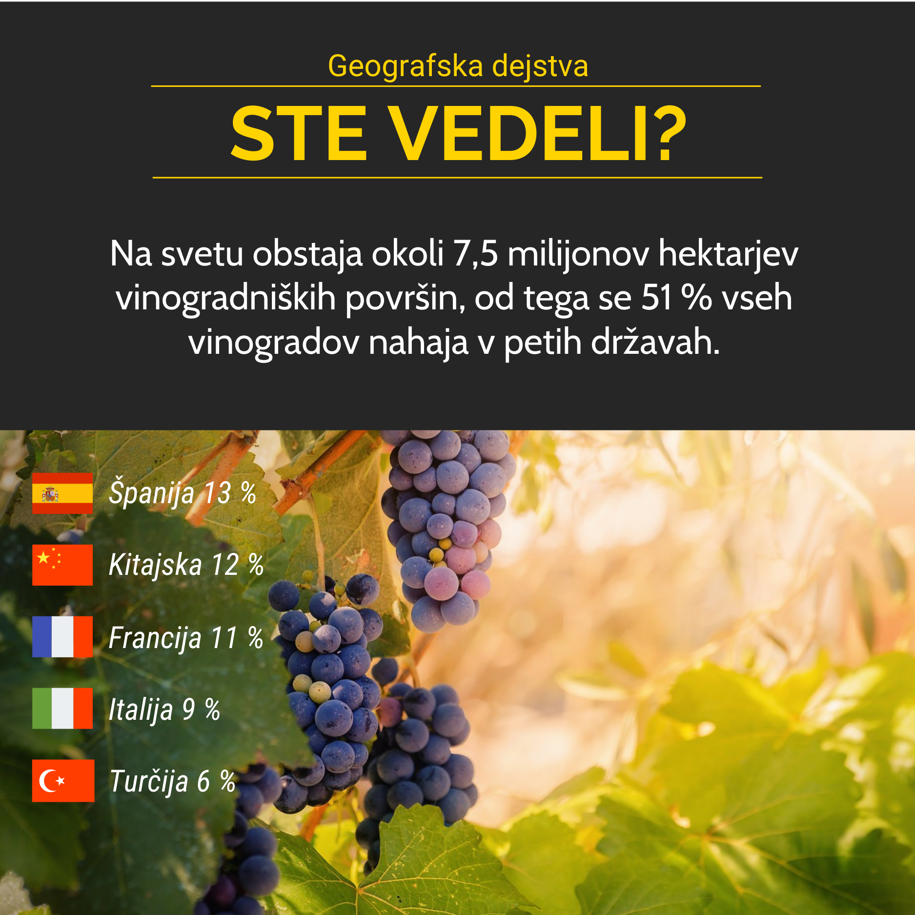 Vinogradi na svetu