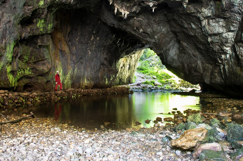 Dinarskokraške pokrajine Slovenije