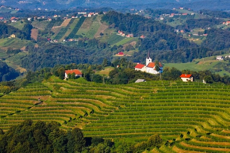 Obpanonske pokrajine Slovenije