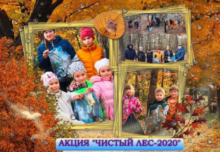 В рамках акции "Чистый лес"