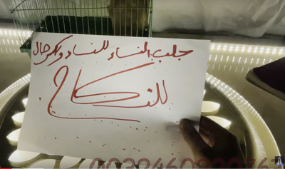 جلب النساء للنساء والرجال للنكاح