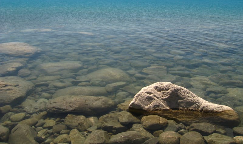 What can we all learn from the Coronavirus outbreak?