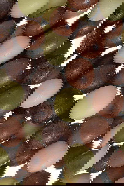 Chocotrio