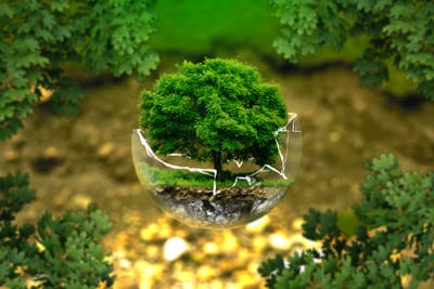 Introduction image