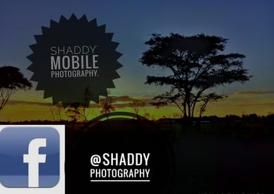 Shaddy's photography