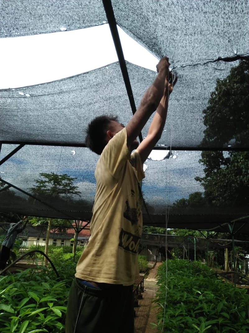 PEMELIHARAAN PARANET MELALUI PENJAHITAN DAN PERAPIHAN BENTANGAN (2)