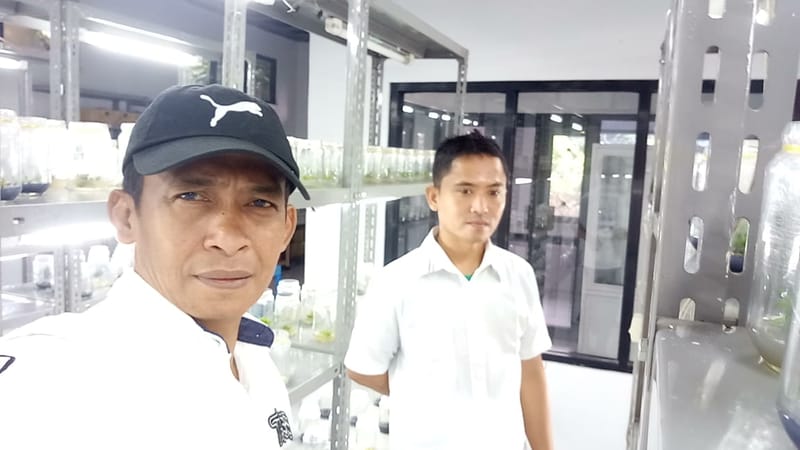 Monitoring dan Evaluasi Kinerja Lab.Kultur Jaringan