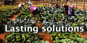 Feeding Scheme