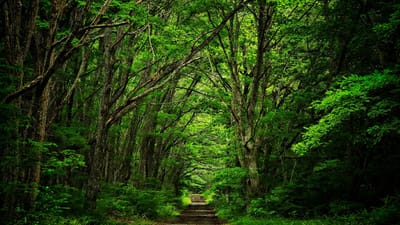 Estado de conservación image