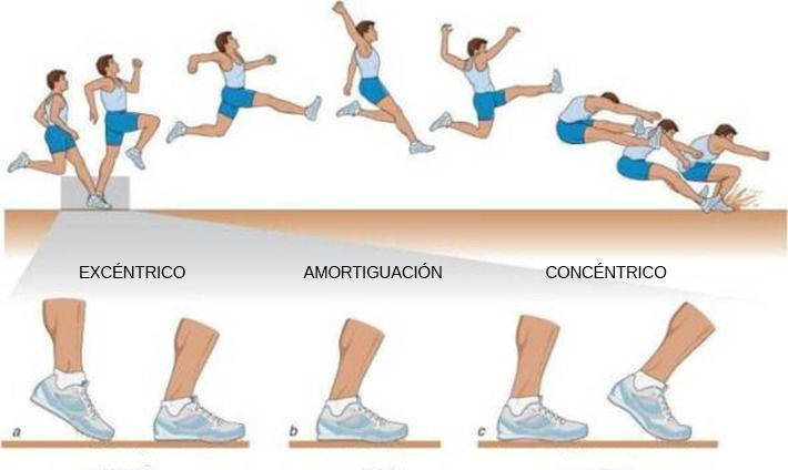 metodologia
