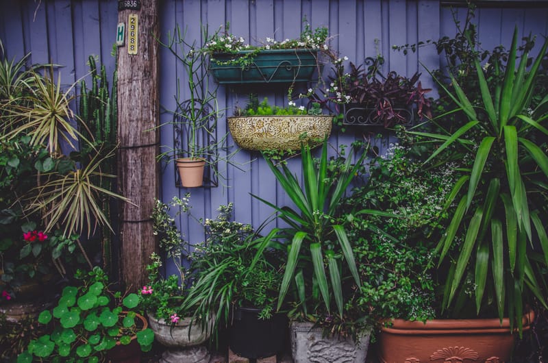 Société de jardinage à Rabat