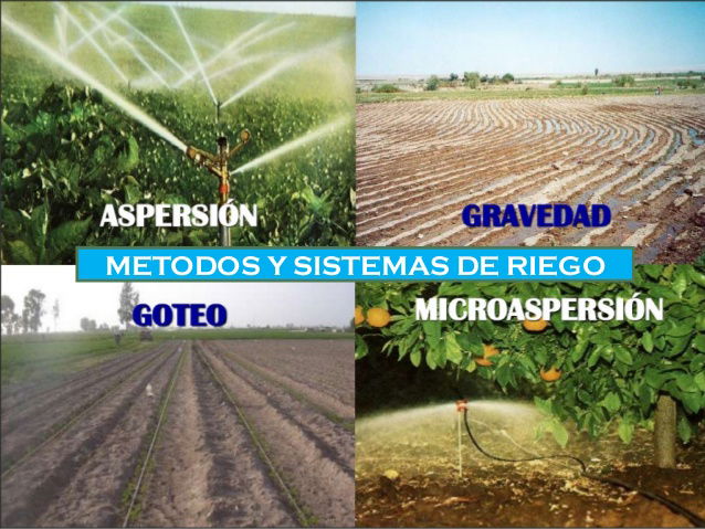 RIEGO TECNIFICADO