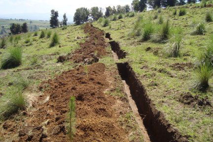 PROYECTOS DE MANEJO Y CONSERVACIÓN DE SUELOS