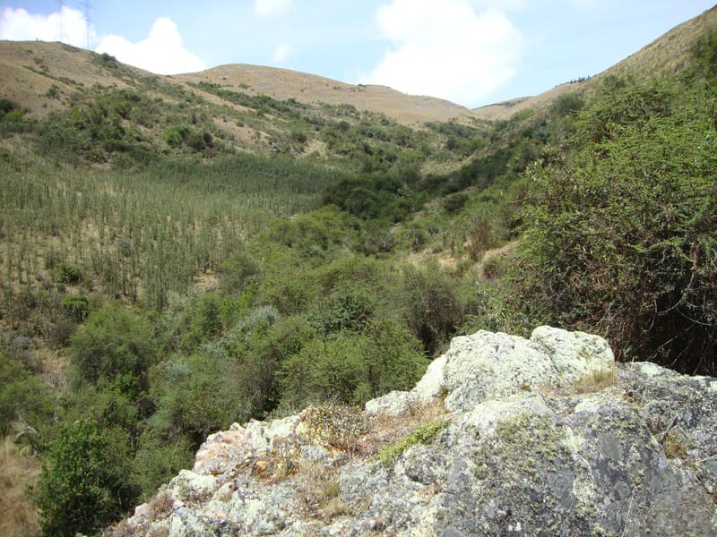 PROYECTOS DE CONSERVACIÓN Y PROTECCIÓN DE MANANTIALES