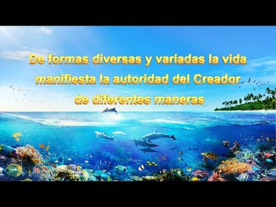 Dios mismo, el único (I) La autoridad de Dios (I) Parte 2