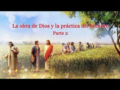 Evangelio de hoy | La obra de Dios y la práctica del hombre (Parte 2)