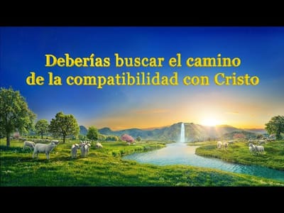 Evangelio de hoy | "Deberías buscar el camino de la compatibilidad con Cristo" Palabra de Vida