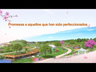 Evangelio de hoy | “Promesas a aquellos que han sido perfeccionados” La Palabra de Dios