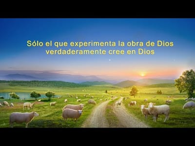 Evangelio de hoy | Sólo el que experimenta la obra de Dios verdaderamente cree en Dios