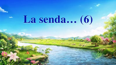 La senda… (6)