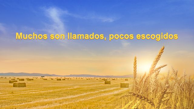 Evangelio de hoy | "Muchos son llamados, pocos escogidos" Las palabras del Espíritu Santo