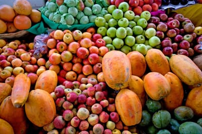Fruit Distribution