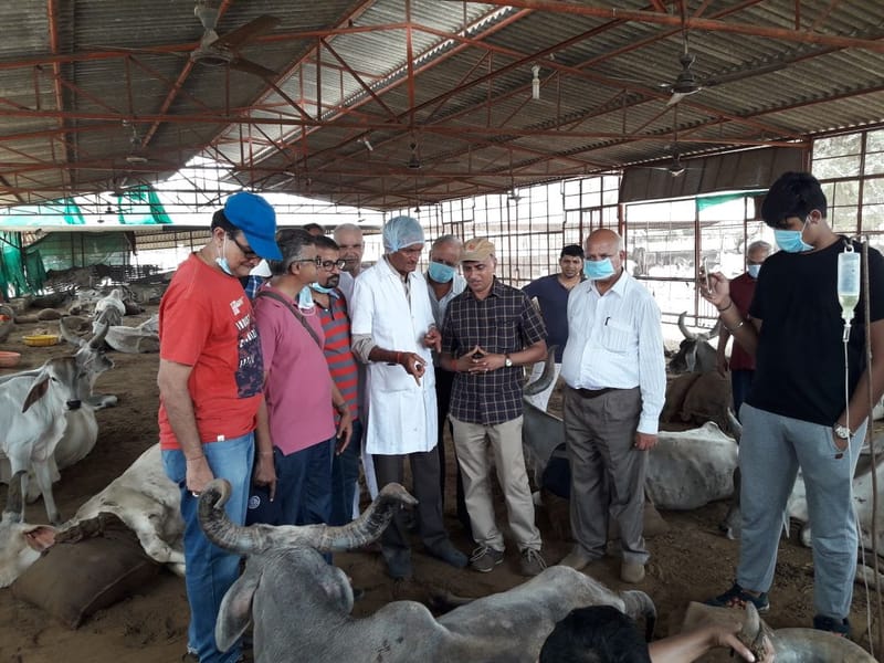 Flood Campaign