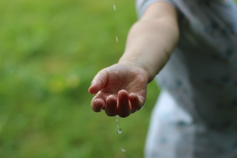 Sustainability