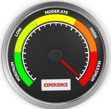 Industry Experience