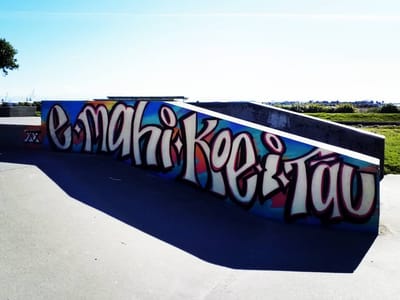 MĀORI GIRLS SKATE CO. image