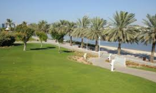 Dubai Luxury Hotels