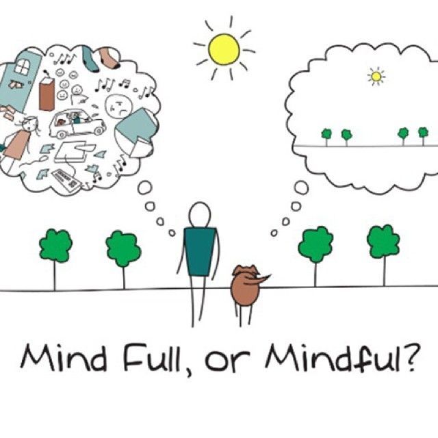 About Mindfulness - "You Are Not Your Brain”