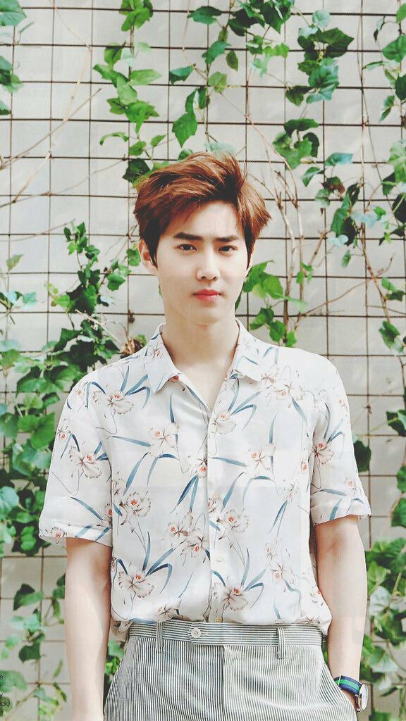 Kim Jun Myeon (김준면)