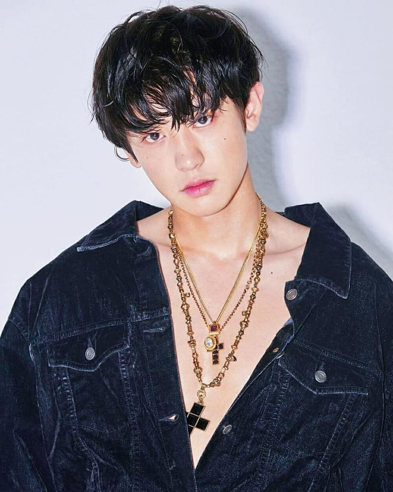 Park Chan Yeol  (박찬열)
