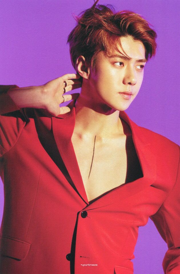 Oh Se Hun (오세훈)