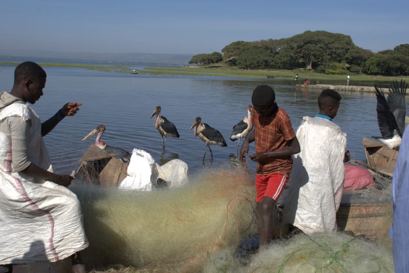 Two days around Addis Ababa