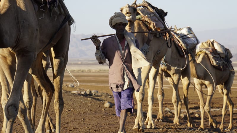 Ten Days -  Danakil, Tigray and Lalibela