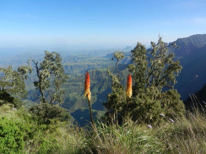 Simien Mountains trekking for 11 days