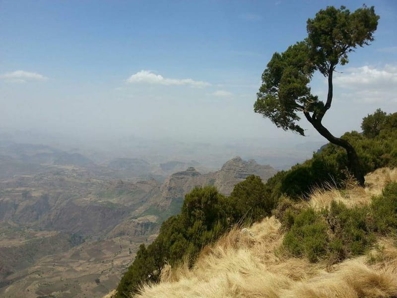 Simien Mountain National Park