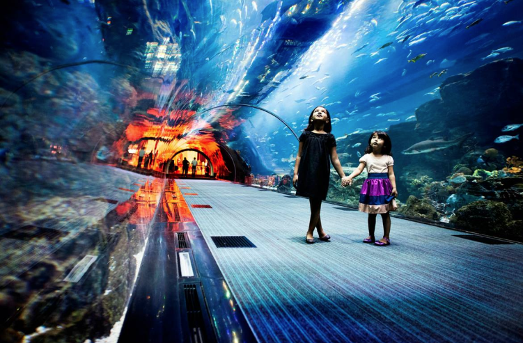 A Literal Peace is here underwater; ‘Dubai Aquarium'