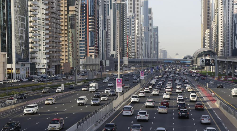 Wild Roads in Dubai