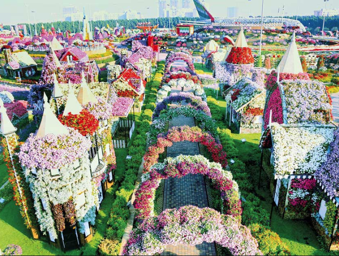 Miracle Garden in Dubai