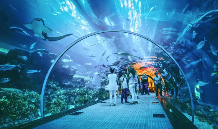 A Peace literal is here under water; 'Dubai Aquarium'