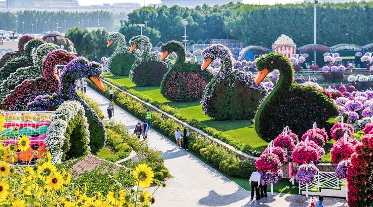 Amazing Facts approximately Dubai Miracle Garden