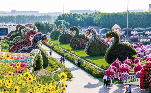 Amazing Facts about Dubai Miracle Garden