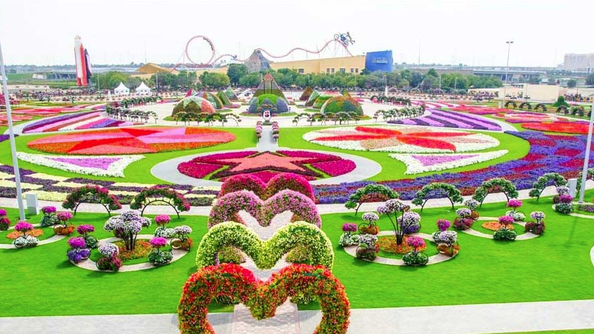 Valentine's Day at Dubai Miracle Garden