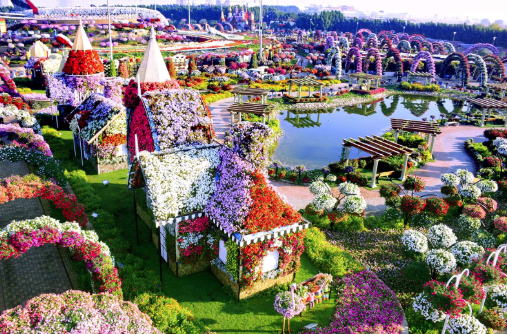 Have you ever visited Discovery Gardens with UAE Car Rental